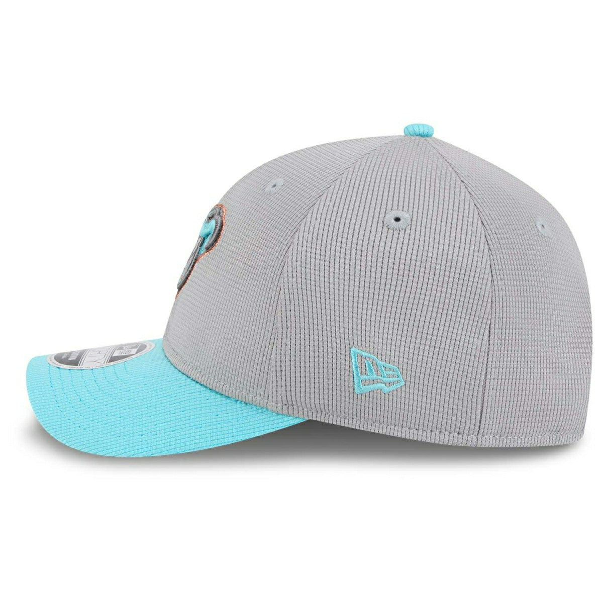 Arizona Diamondbacks Colorway 2025 MLB Batting Practice 9FORTY M-Crown Snapback Cap Gray Fashion