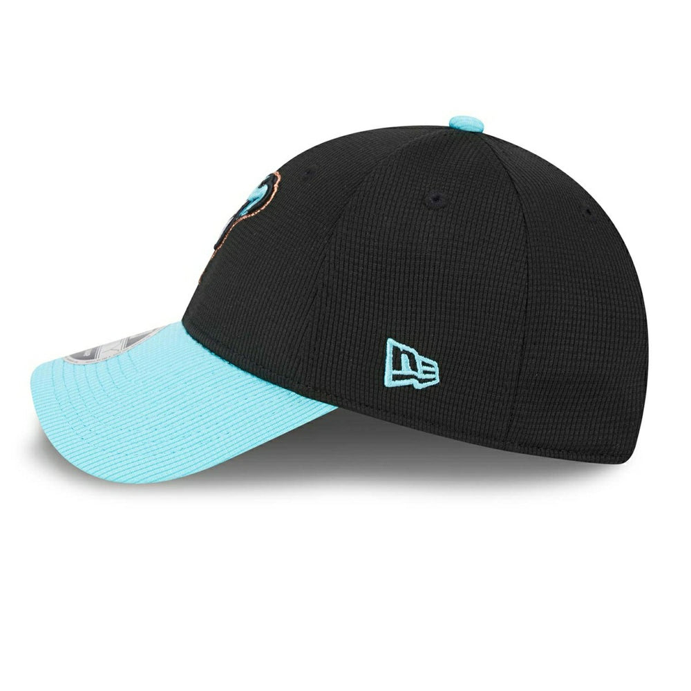 Arizona Diamondbacks 2025 MLB Batting Practice Stretch-Snap 9FORTY Adjustable Cap Taass sale