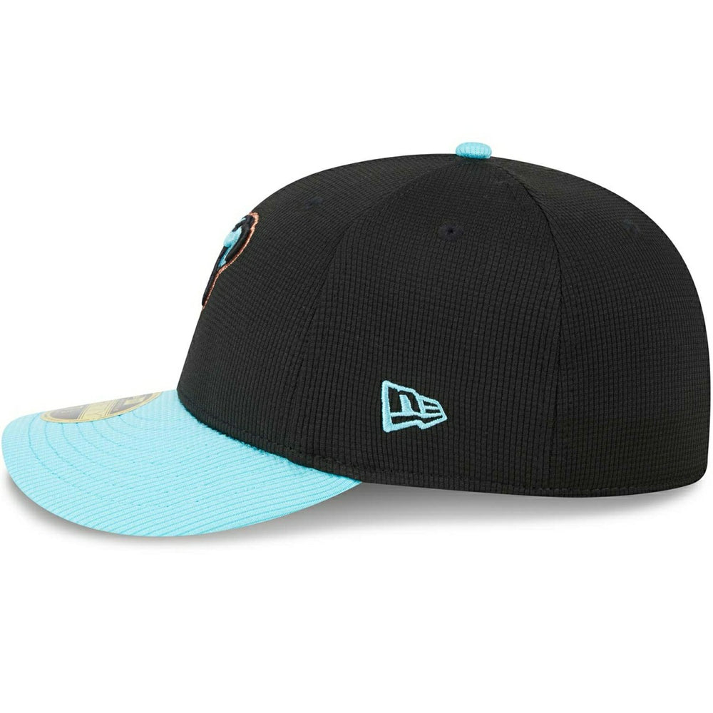 Arizona Diamondbacks 2025 MLB Batting Practice New Era Low Profile 59FIFTY Fitted Cap Taass US