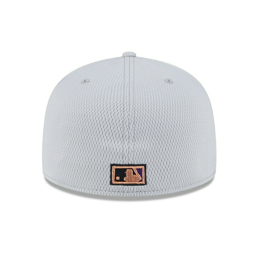 Arizona Diamondbacks 2025 MLB Authentic Clubhouse 59FIFTY Fitted Cap Gray Fashion