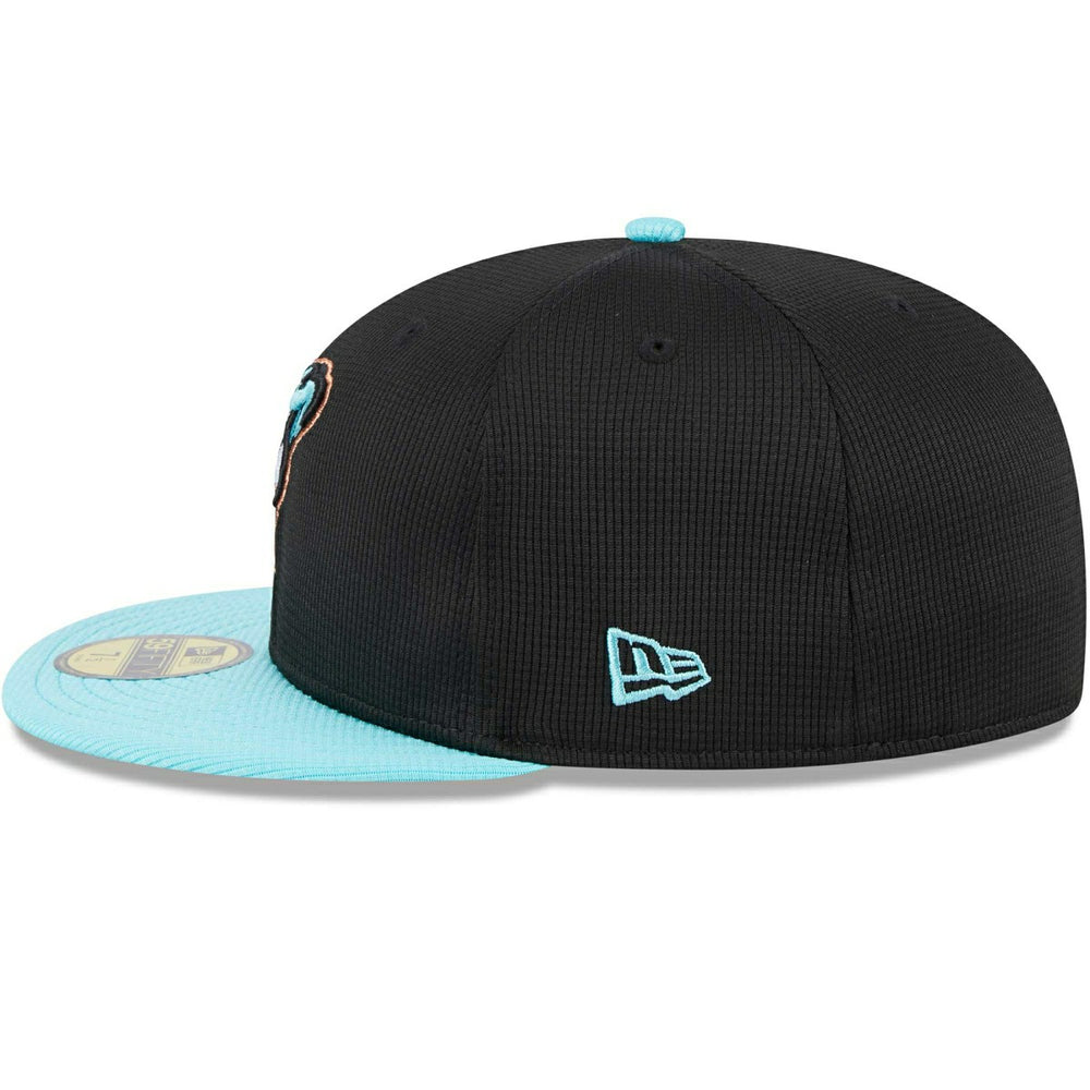 Arizona Diamondbacks 2025 MLB Batting Practice New Era 59FIFTY Fitted Cap Taass for sale