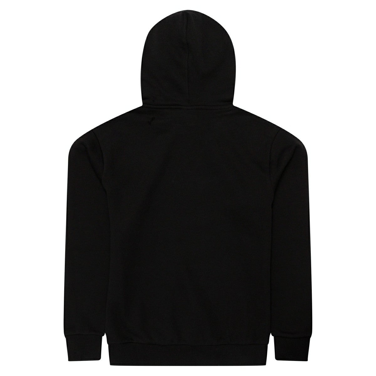 Baltimore Orioles Team Logo MLB Hoodie Black Fashion