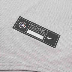Boston Red Sox Replica MLB Road Jersey Grey Taass US
