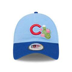 Chicago Cubs 2026 MLB Spring Training Casual Classic Adjustable Cap Blue Taass for sale
