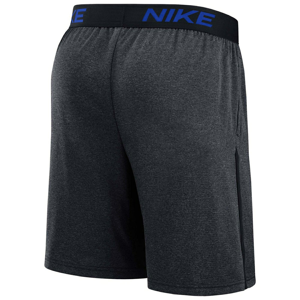 Detroit Tigers 2024 City Connect MLB Authentic Nike Dri-FIT Shorts Taass for sale