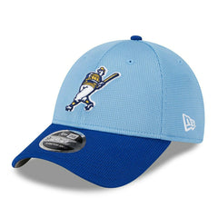 Milwaukee Brewers 2025 MLB Batting Practice Stretch-Snap 9FORTY Adjustable Cap Classic