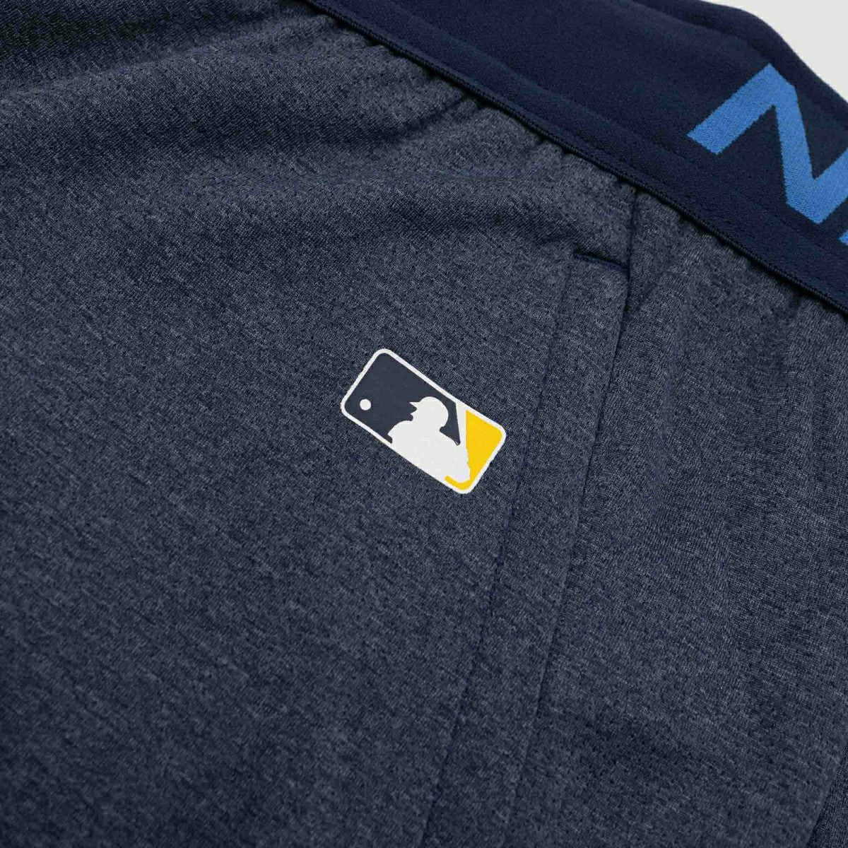 Minnesota Twins 2024 City Connect MLB Authentic Nike Dri-FIT Shorts Classic