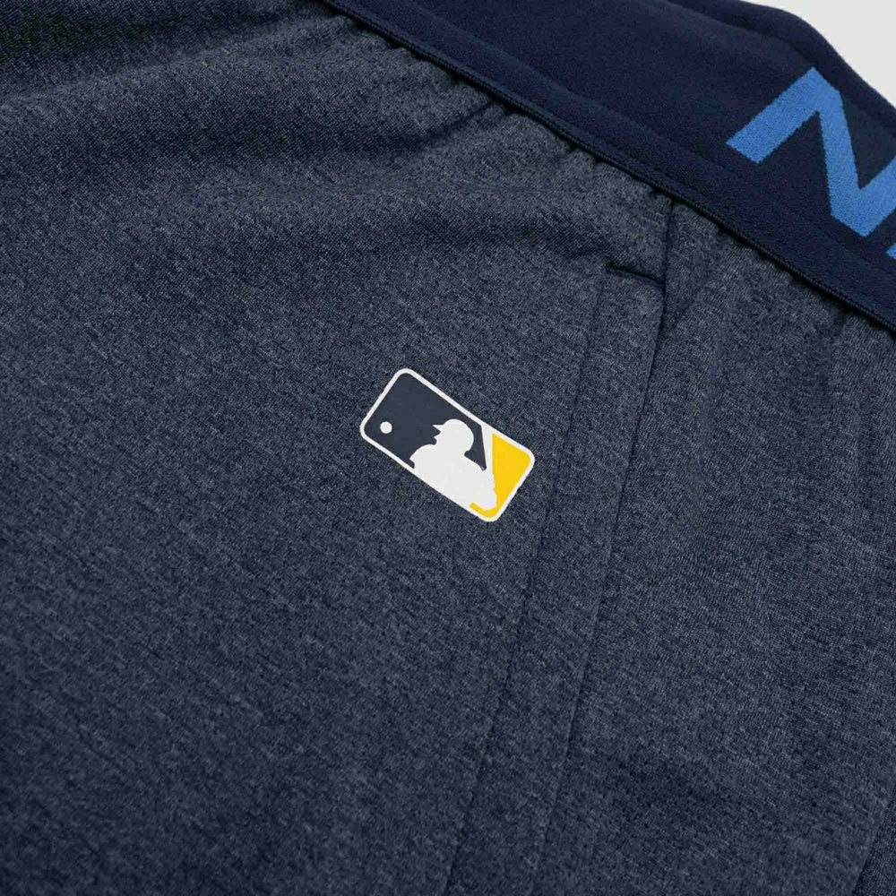 Minnesota Twins 2024 City Connect MLB Authentic Nike Dri-FIT Shorts Classic