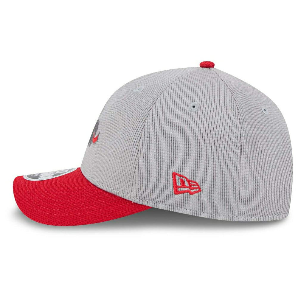 Philadelphia Phillies Colorway 2025 MLB Batting Practice 9FORTY M-Crown Snapback Cap Gray Taass sale