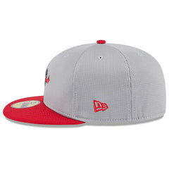 Philadelphia Phillies Colorway 2025 MLB Batting Practice 59FIFTY Fitted Cap Gray Taass US