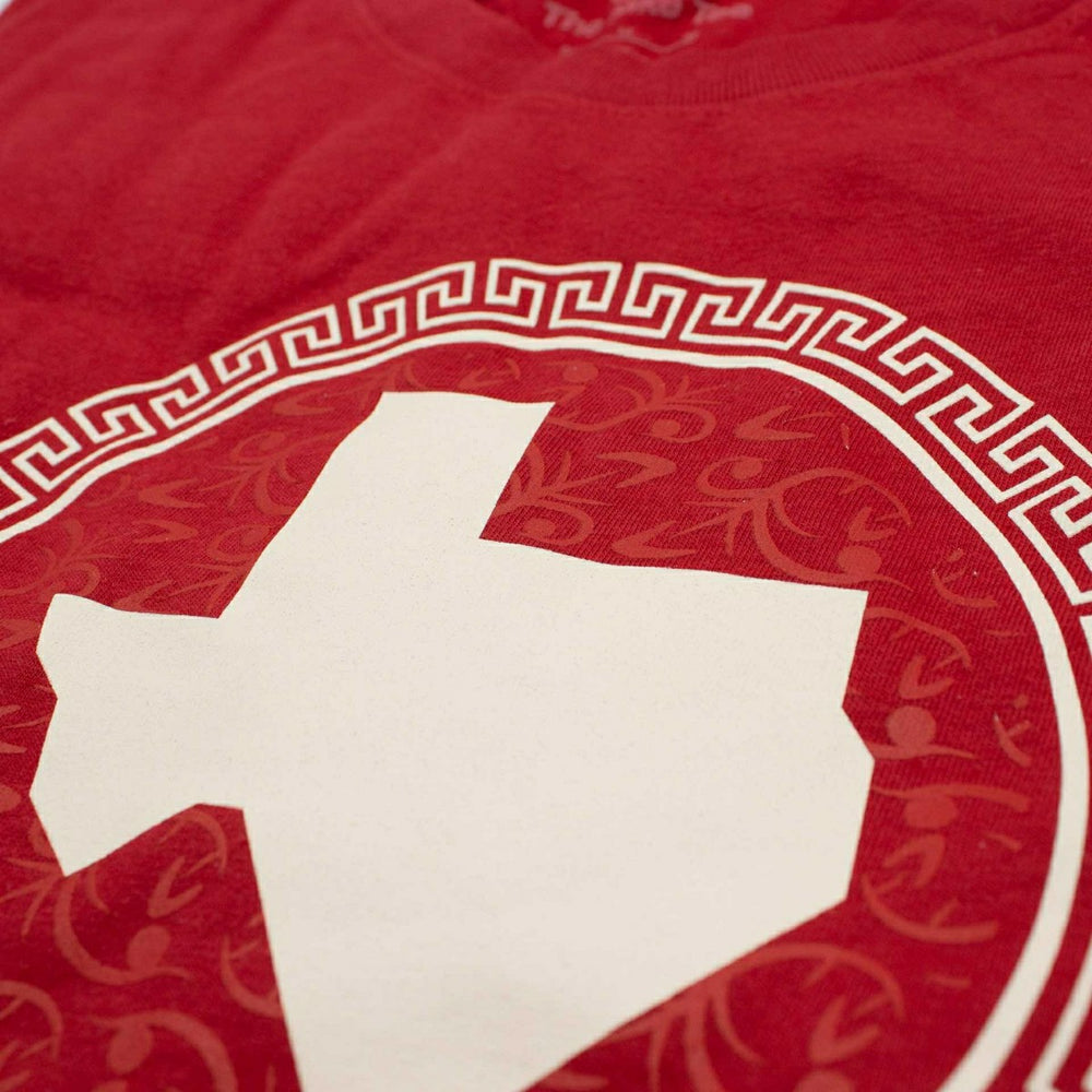 Texas Rangers City Connect Secondary MLB T-Shirt Red Lifestyle