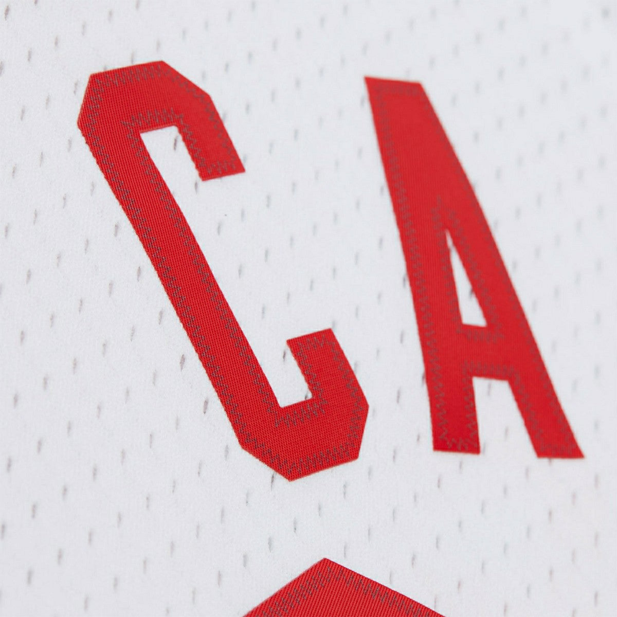 Vince Carter #15 New Jersey Nets 2005-06 Swingman NBA Jersey White Taass sale