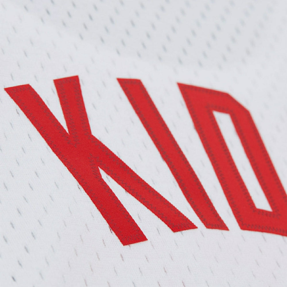 Jason Kidd #5 New Jersey Nets 2005-06 Swingman NBA Jersey White Taass for sale