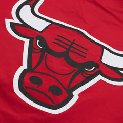 Chicago Bulls 1992-1993 Mitchell & Ness Authentic Warm Up NBA Jacket Red Taass for sale