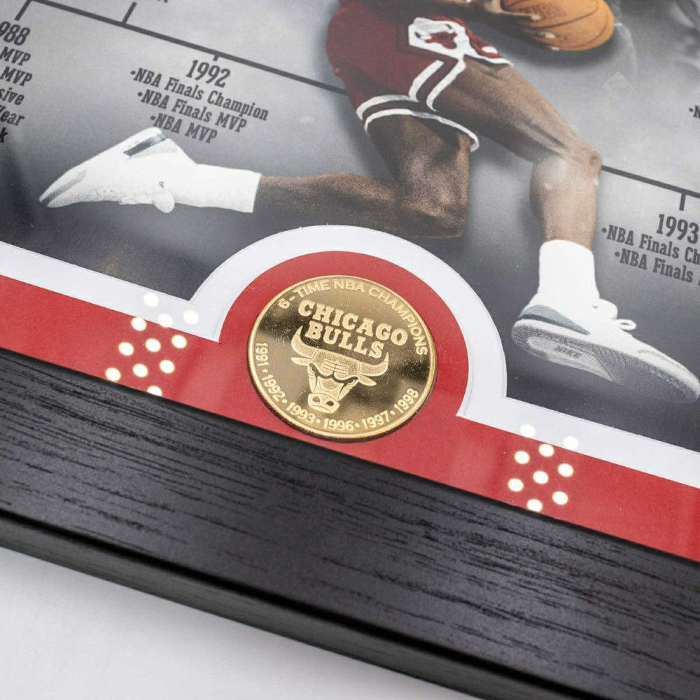 Michael Jordan Chicago Bulls Playing Career Bronze Coin Framed NBA Photo Taass for sale