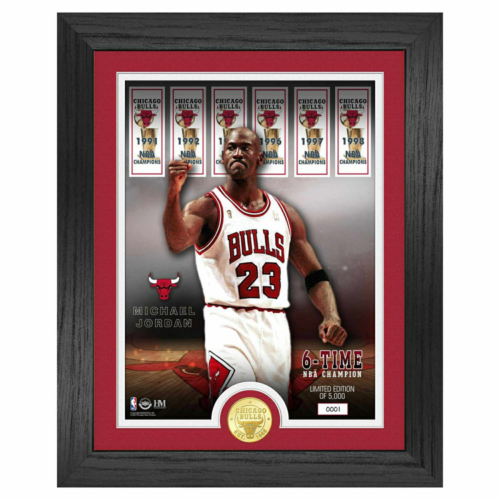 Michael Jordan Chicago Bulls Bronze Coin Framed NBA Photo Taass for sale