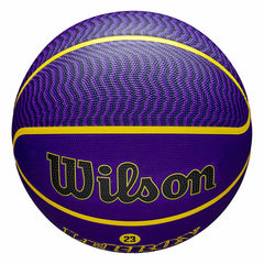 LeBron James Los Angeles Lakers NBA Icon Outdoor Basketball (Size 7) Classic