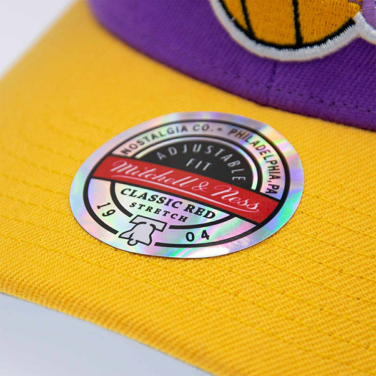 Los Angeles Lakers Team Arch Classic Red Stretch-Snap NBA Cap Purple Fashion