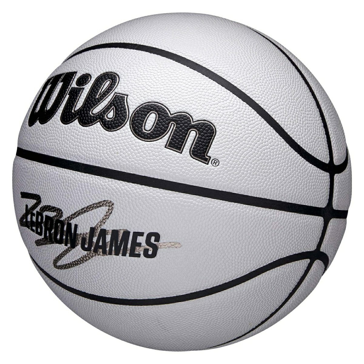 LeBron James UV Player Icon NBA Basketball (Size 7) Taass for sale