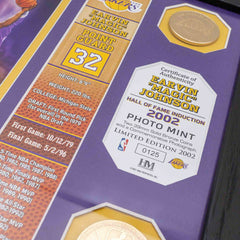Magic Johnson Los Angeles Lakers Hall of Fame Banner NBA Photo Frame Taass for sale