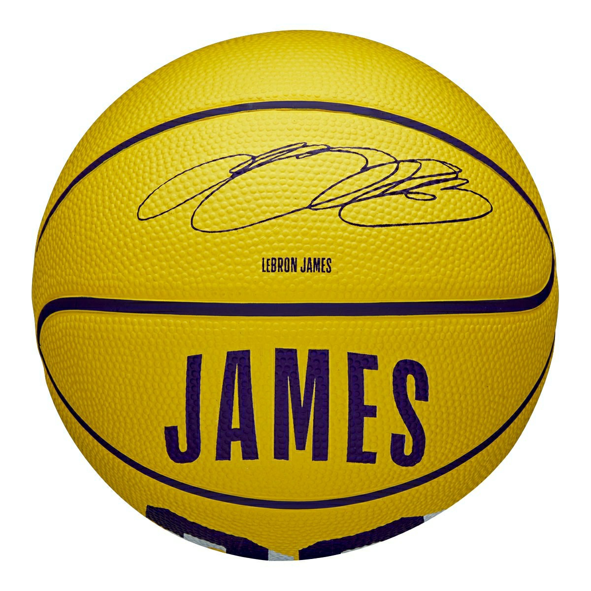 LeBron James #23 Los Angeles Lakers Wilson NBA Mini Basketball (Size 3) Taass US