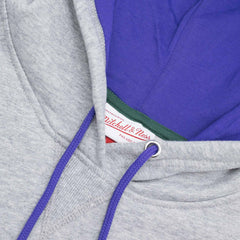 Milwaukee Bucks Pinnacle Mitchell & Ness Heavyweight Fleece NBA Hoodie Taass US