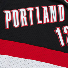 Lamarcus Aldridge #12 Portland Trail Blazers 2006-07 Mitchell & Ness Swingman NBA Jersey Black Taass US