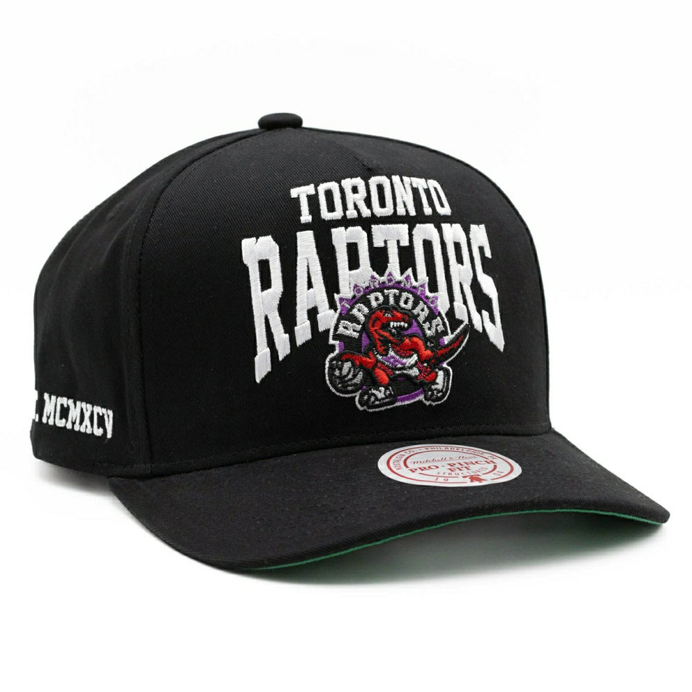 Toronto Raptors Big Time Mitchell & Ness Pro Pinch Snapback NBA Cap Taass for sale