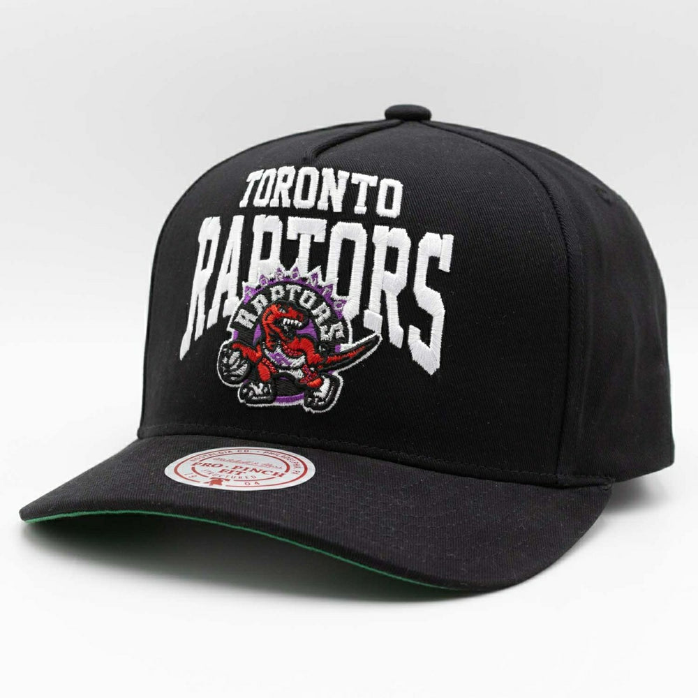 Toronto Raptors Big Time Mitchell & Ness Pro Pinch Snapback NBA Cap Taass for sale