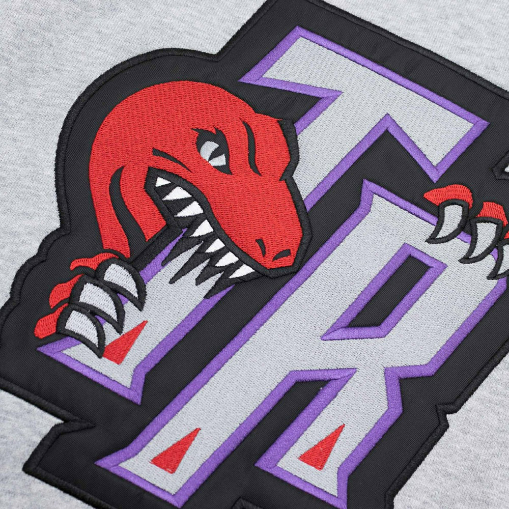 Toronto Raptors Pinnacle Mitchell & Ness NBA Heavyweight Fleece Hoodie Grey Taass US