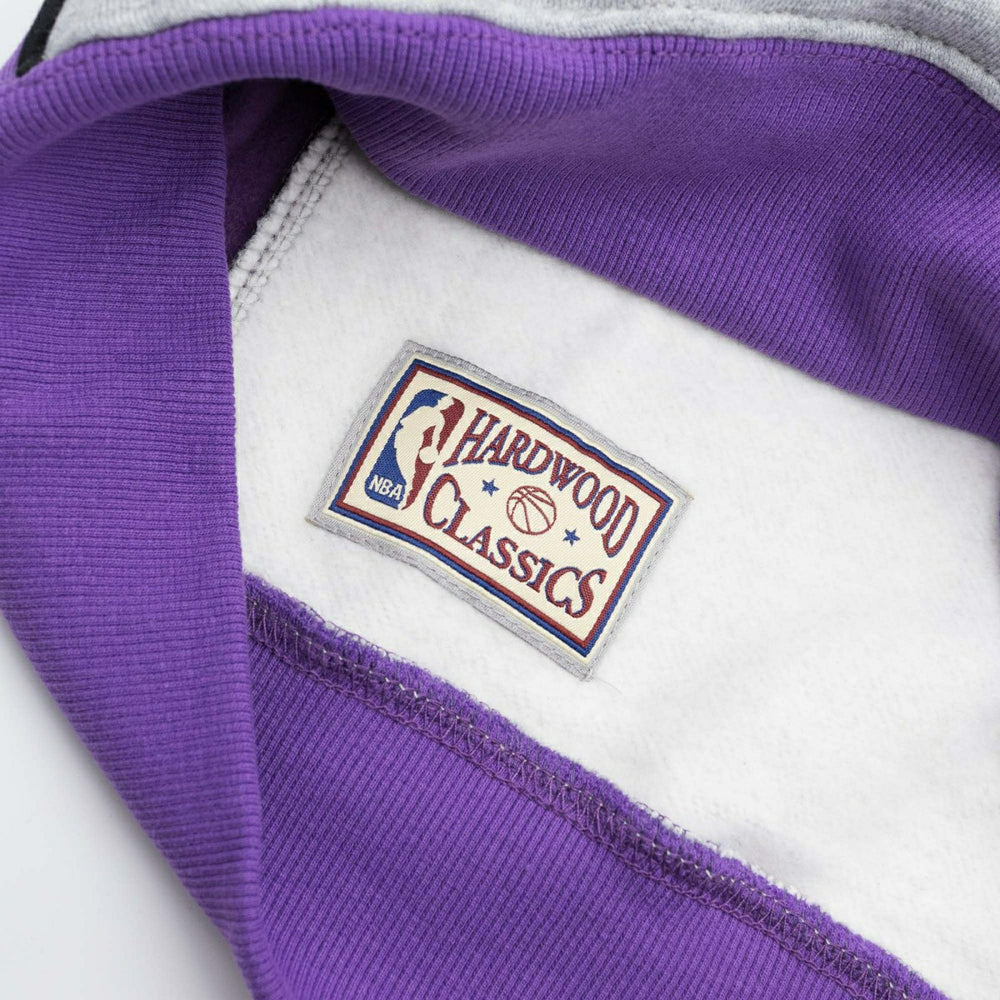 Toronto Raptors Pinnacle Mitchell & Ness NBA Heavyweight Fleece Hoodie Grey Taass US