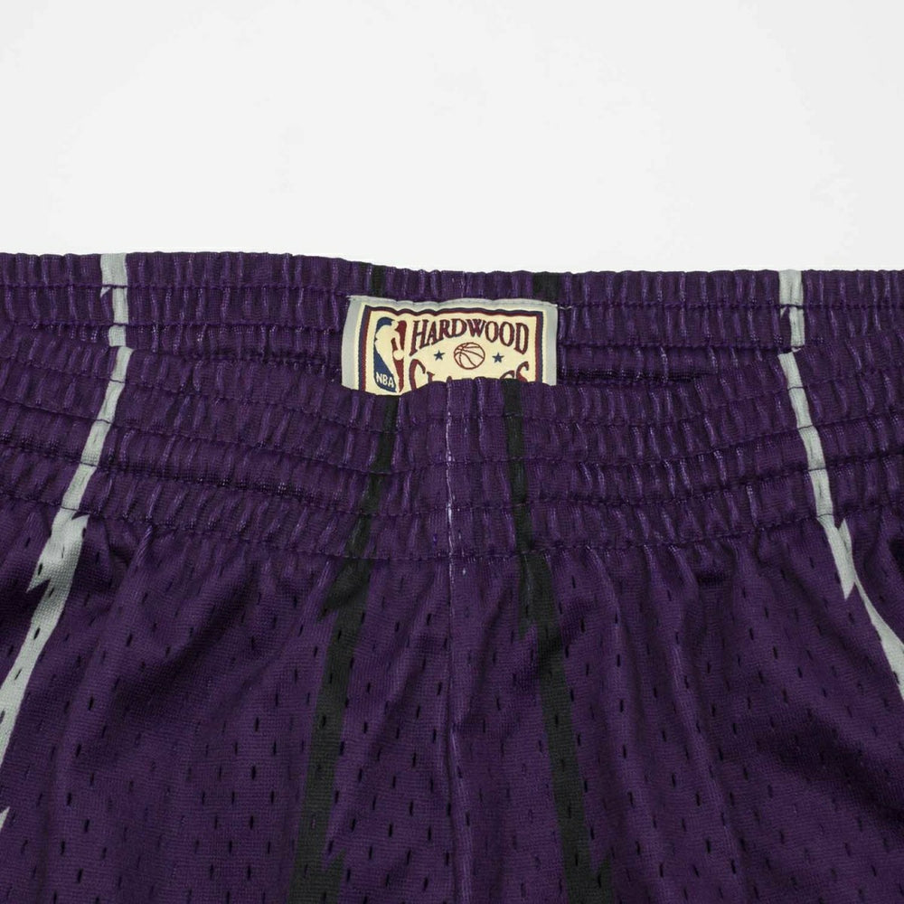 Toronto Raptors 1998-99 Mitchell & Ness Swingman NBA Shorts Purple Taass for sale