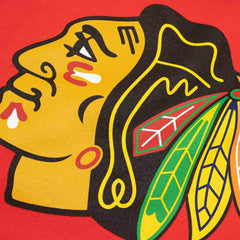 Chicago Blackhawks Primary Logo NHL Hoodie Red Taass sale