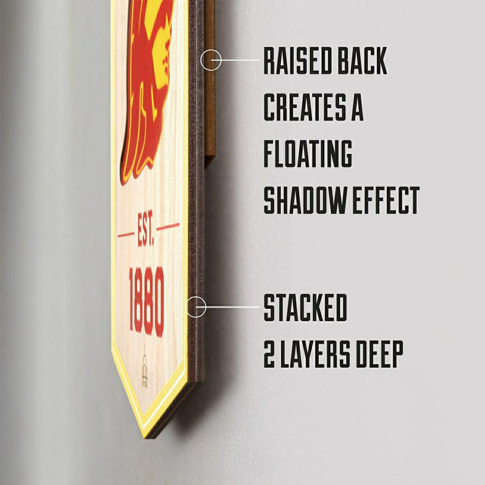 Chicago Blackhawks 3D Stadium NHL Banner Taass US
