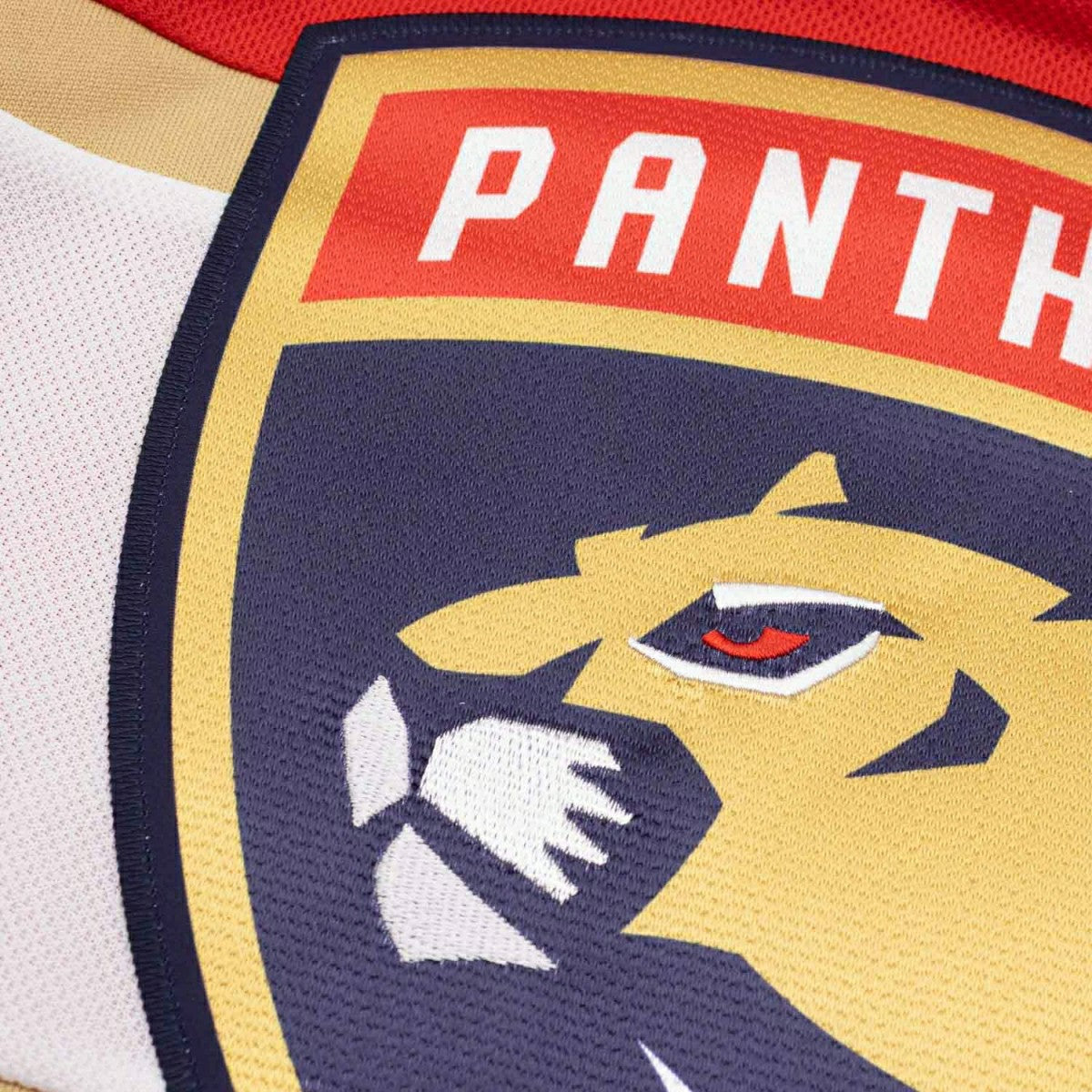 Matthew Tkachuk #19 Florida Panthers Premier NHL Jersey Red (YOUTH) Taass sale