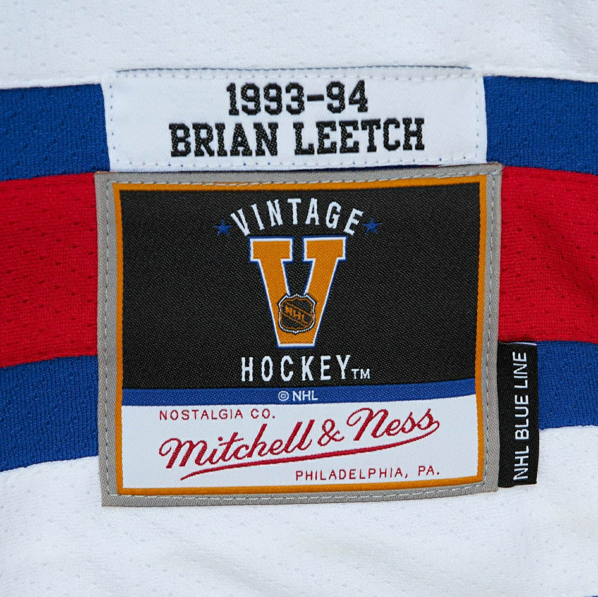 Brian Leetch #2 New York Rangers 1993-94 Mitchell & Ness NHL Jersey Blue Taass for sale