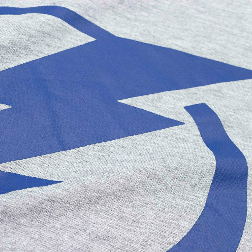 Tampa Bay Lightning Primary Logo NHL T-Shirt Gray Taass US