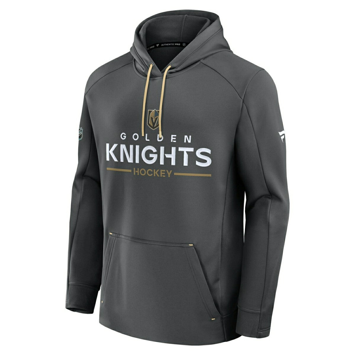 Vegas Golden Knights 2025/26 Authentic Pro Rink Tech NHL Hoodie Charcoal Taass sale