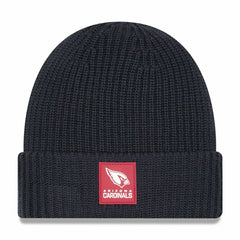 Arizona Cardinals 2025 NFL Sideline Steel Clouds Cuff Knit Beanie Lifestyle