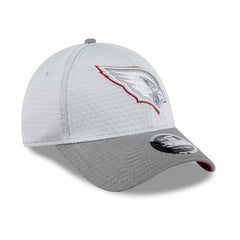 Arizona Cardinals 2024 NFL Training Camp New Era Stretch-Snap 9FORTY Cap Gray Classic