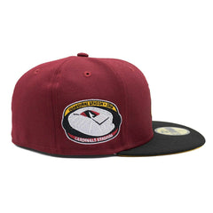 Arizona Cardinals Stadium Inaugural Season New Era 59FIFTY Fitted NFL Cap Fashion