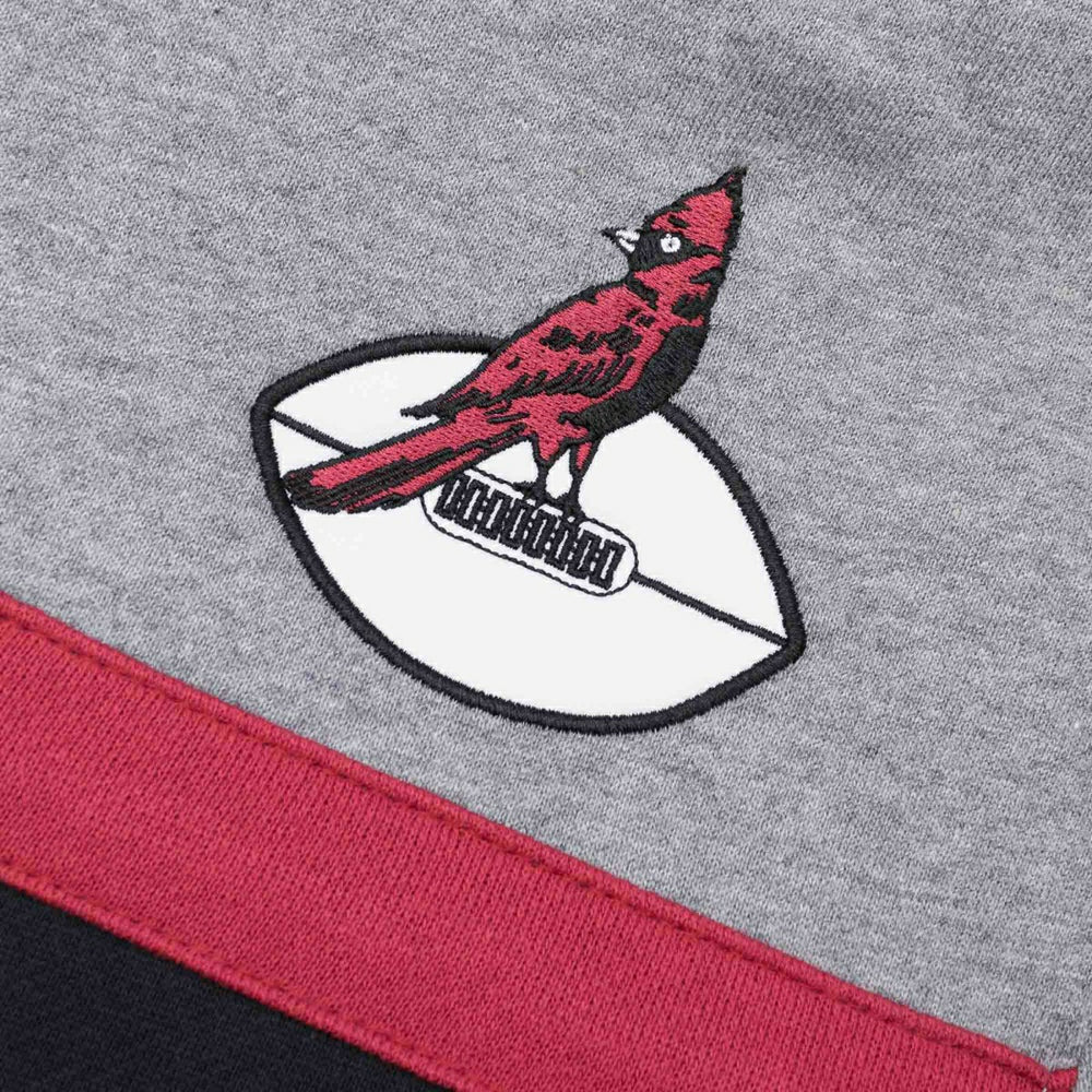 Arizona Cardinals Head Coach Mitchell & Ness NFL Throwback Football Hoodie Lifestyle