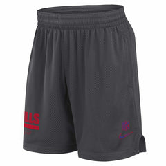 Buffalo Bills 2024 NFL Sideline Mesh Nike Dri-FIT Shorts Gray Taass for sale