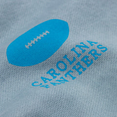 Carolina Panthers L&L '96 Classics NFL Crewneck Sweater Blue Lifestyle