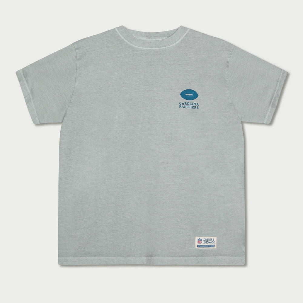 Carolina Panthers L&L '89 Classics NFL T-Shirt Gray Taass sale