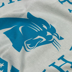 Carolina Panthers L&L '89 Classics NFL T-Shirt Gray Taass sale