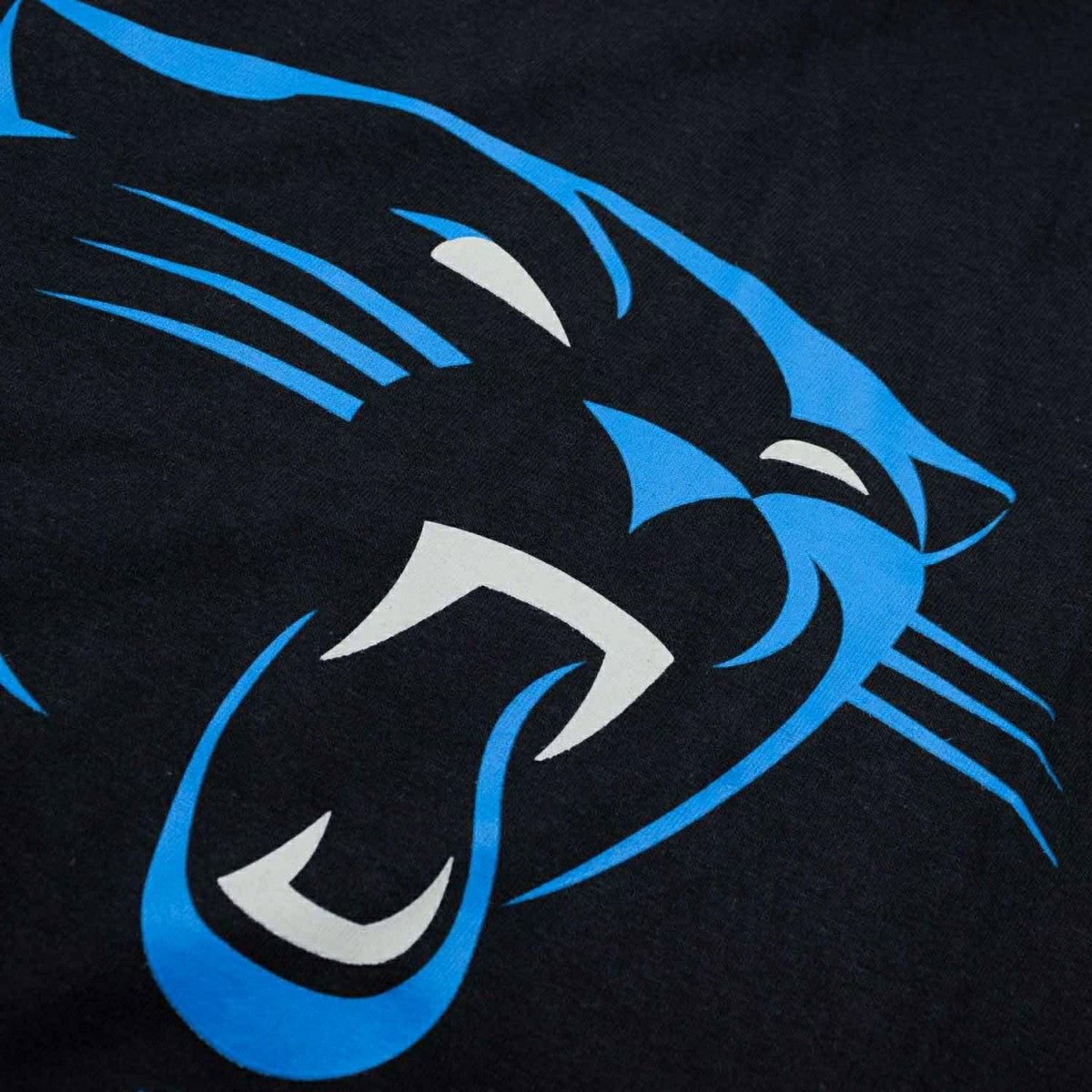 Carolina Panthers Nike Essential Logo NFL T-Shirt Black Taass for sale