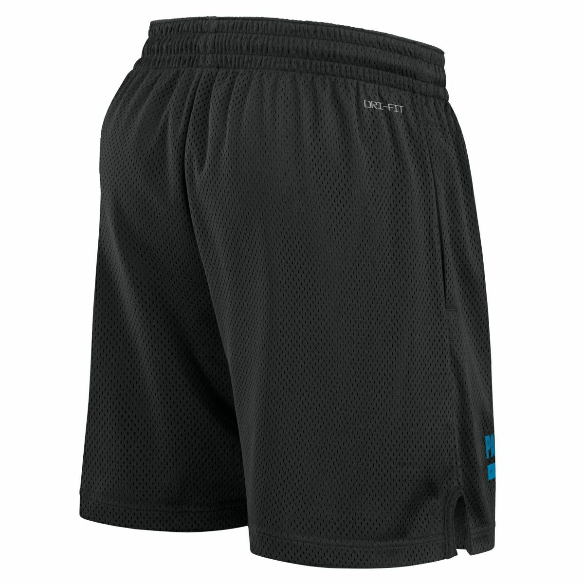 Carolina Panthers 2024 NFL Sideline Mesh Nike Dri-FIT Shorts Black Taass sale