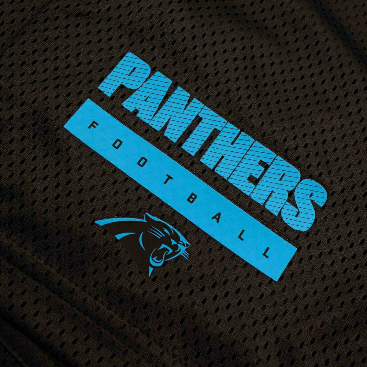 Carolina Panthers 2024 NFL Sideline Mesh Nike Dri-FIT Shorts Black Taass sale