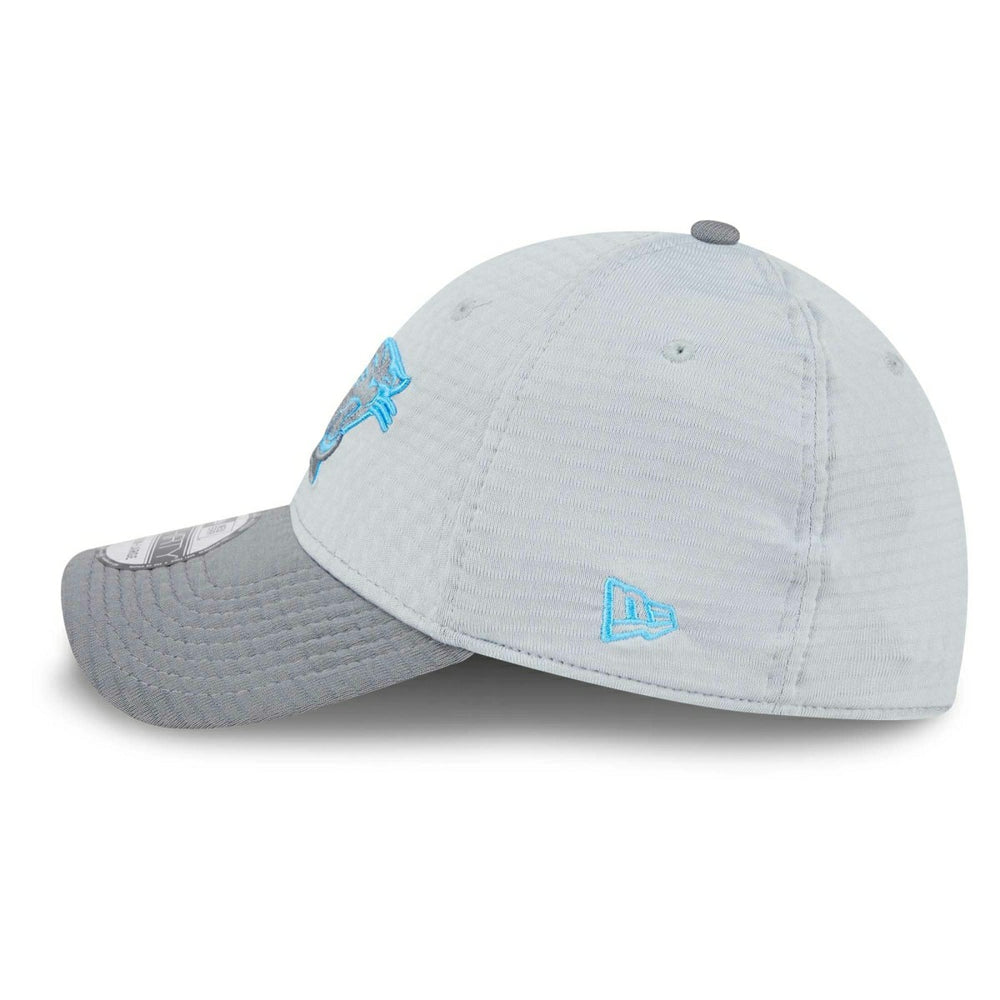 Carolina Panthers 2024 NFL Training Camp New Era 39THIRTY Flex Cap Gray Fashion